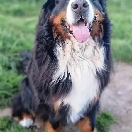 à Brévin L'océan Saint-Brevin-les-Pins