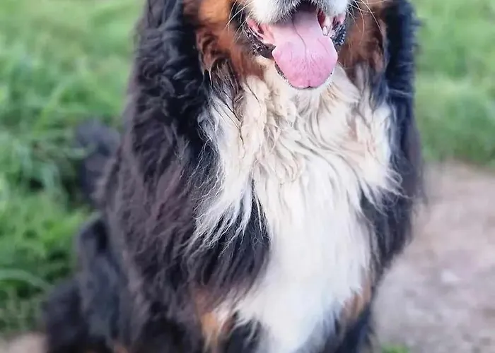 à Brévin L'océan Saint-Brévin-les-Pins